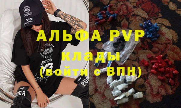 ешки Горняк