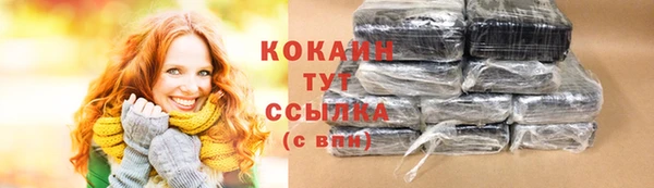 ешки Горняк
