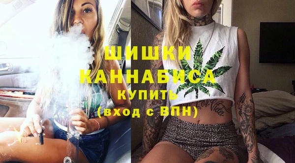 ешки Горняк