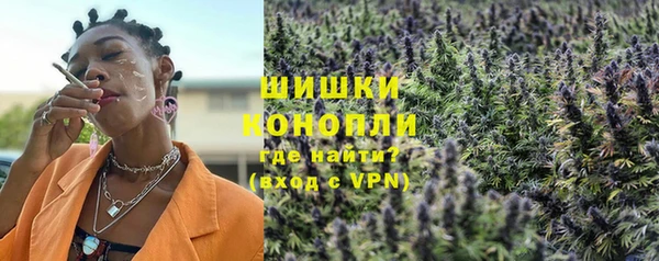 ешки Горняк