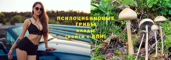 ешки Горняк
