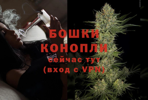 ПСИЛОЦИБИНОВЫЕ ГРИБЫ Гусев