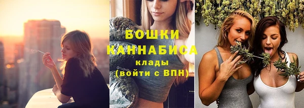 Альфа ПВП Горно-Алтайск