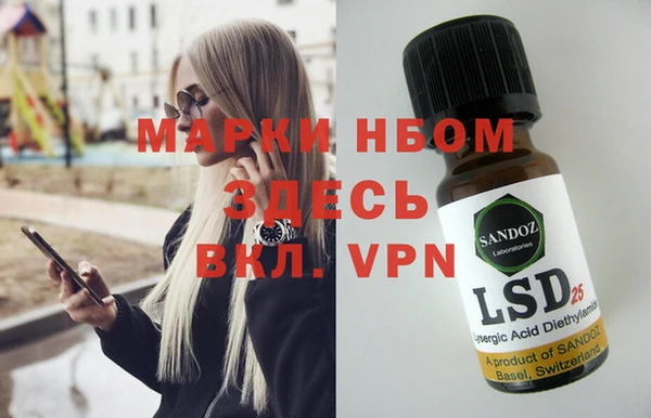 ешки Горняк
