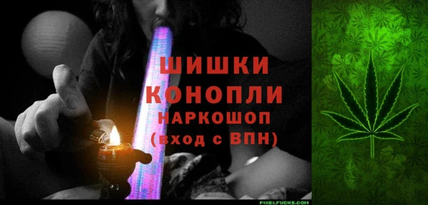 ешки Горняк