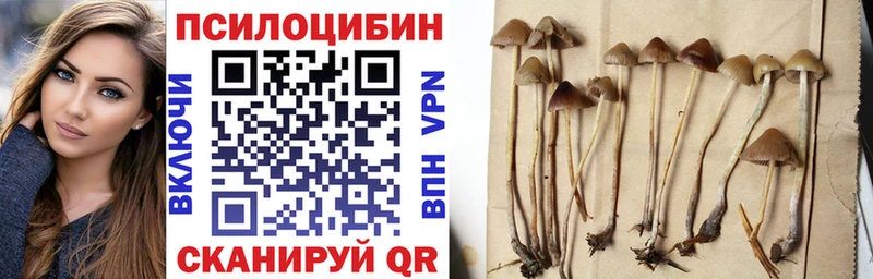 Купить закладки  Ивантеевка  Галлюциногенные грибы GOLDEN TEACHER 