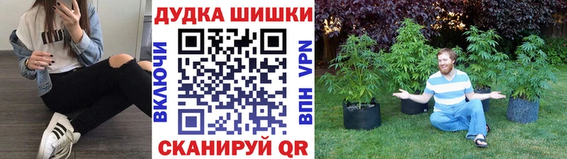 Купить  Ивантеевка  Конопля Amnesia 